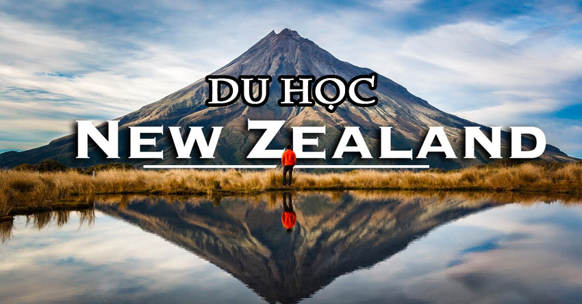 Du học New Zealand nên chọn ngành gì?